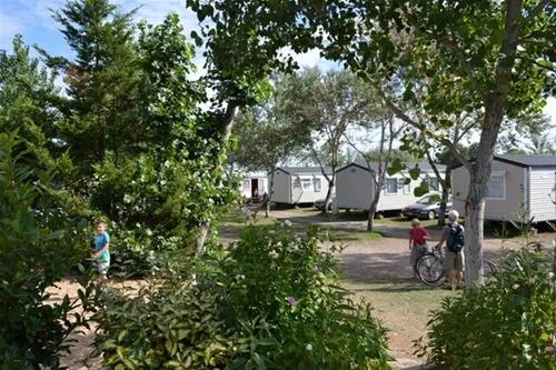 camping-la-grande-vallee-la-tranche-sur-mer-ch01c