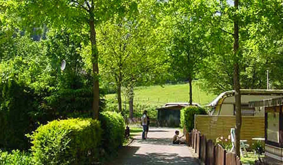 camping-hellenthal-hellenthal-ddyad