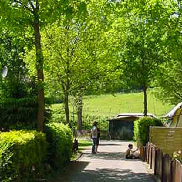 camping-hellenthal-hellenthal-ddyad