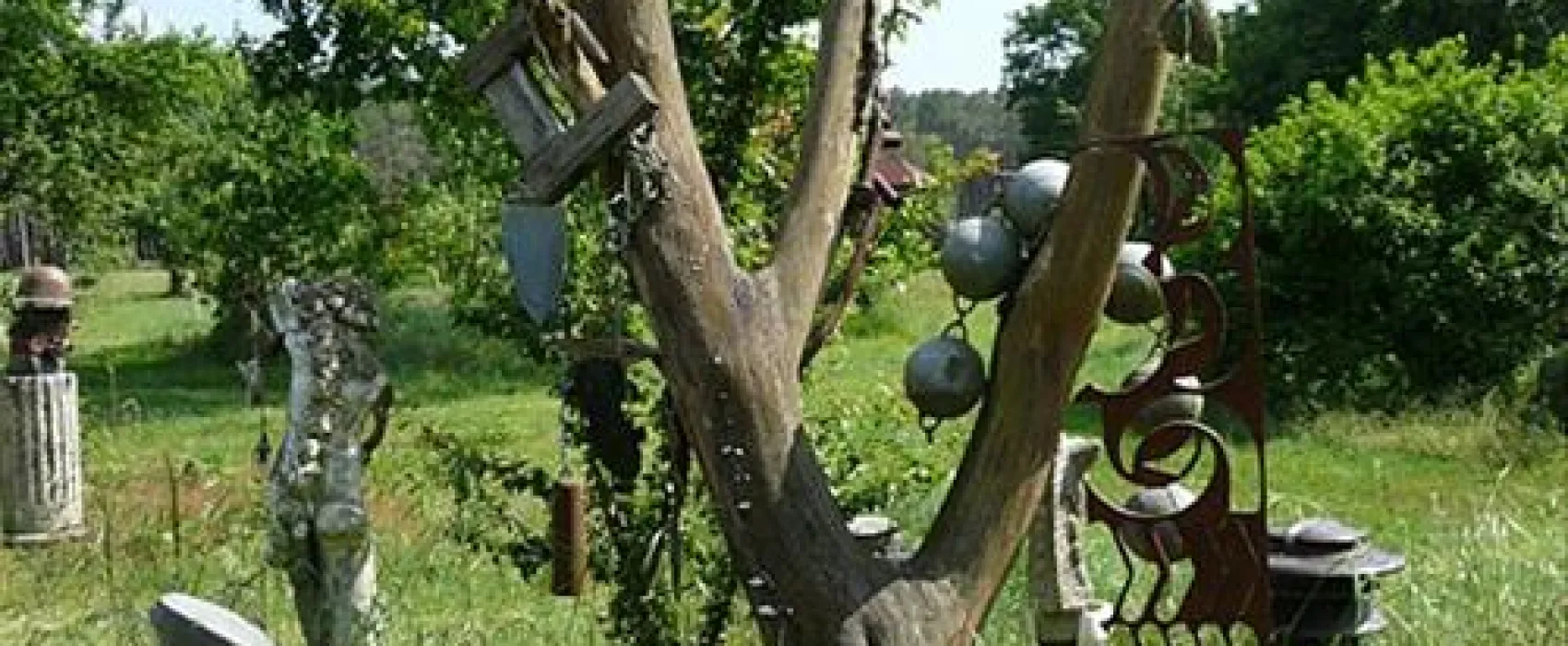 Aire Naturelle de Camping du Toy