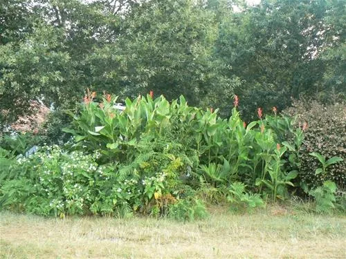 aire-naturelle-de-camping-du-toy-herm-xmo2q