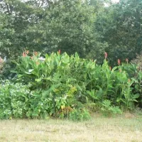 aire-naturelle-de-camping-du-toy-herm-xmo2q