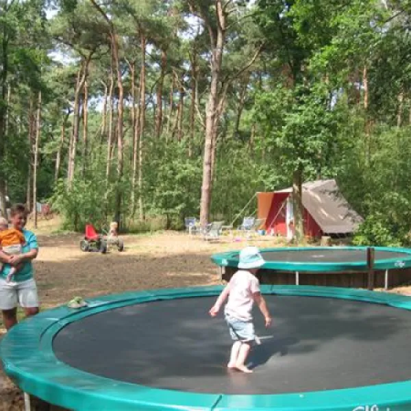 natuurkampeerterrein-bergvlietse-bossen-den-hout-nb-g2v1a