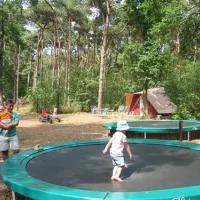 natuurkampeerterrein-bergvlietse-bossen-den-hout-nb-g2v1a