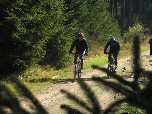 camping-oos-heem-amel-deidenberg-bub9i