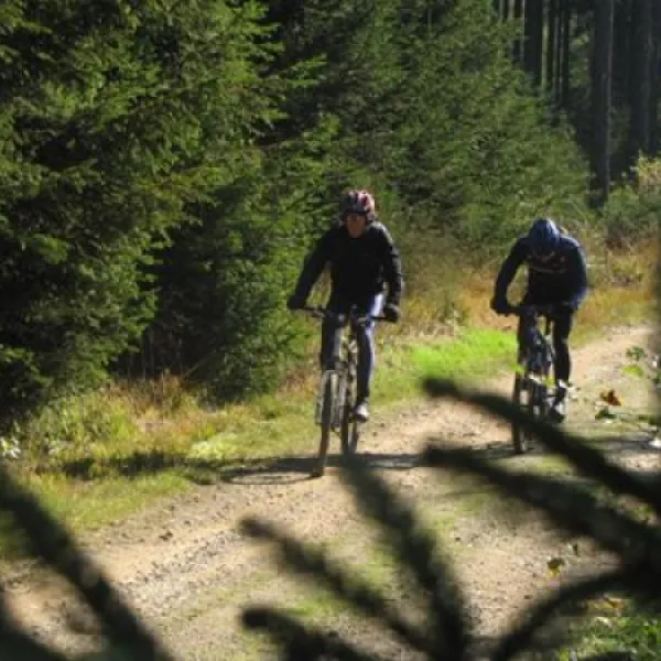 camping-oos-heem-amel-deidenberg-bub9i
