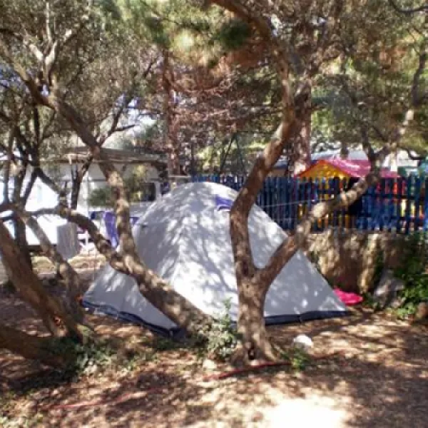 camping-maslinik-punat-0qi3w