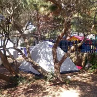 camping-maslinik-punat-0qi3w