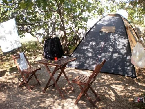 camping-maslinik-punat-if3wo