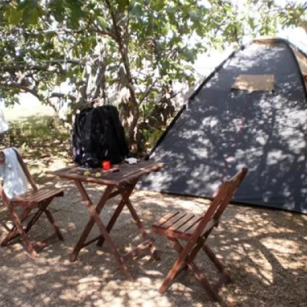 camping-maslinik-punat-if3wo
