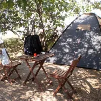 camping-maslinik-punat-if3wo