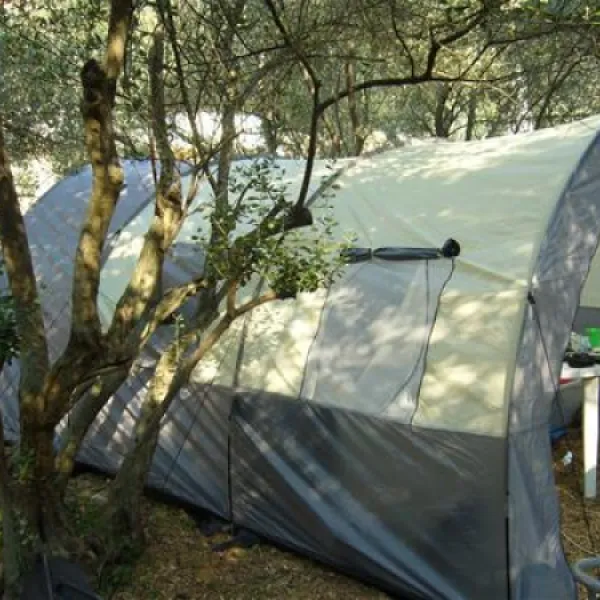 camping-maslinik-punat-nb0s7