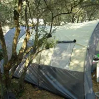 camping-maslinik-punat-nb0s7