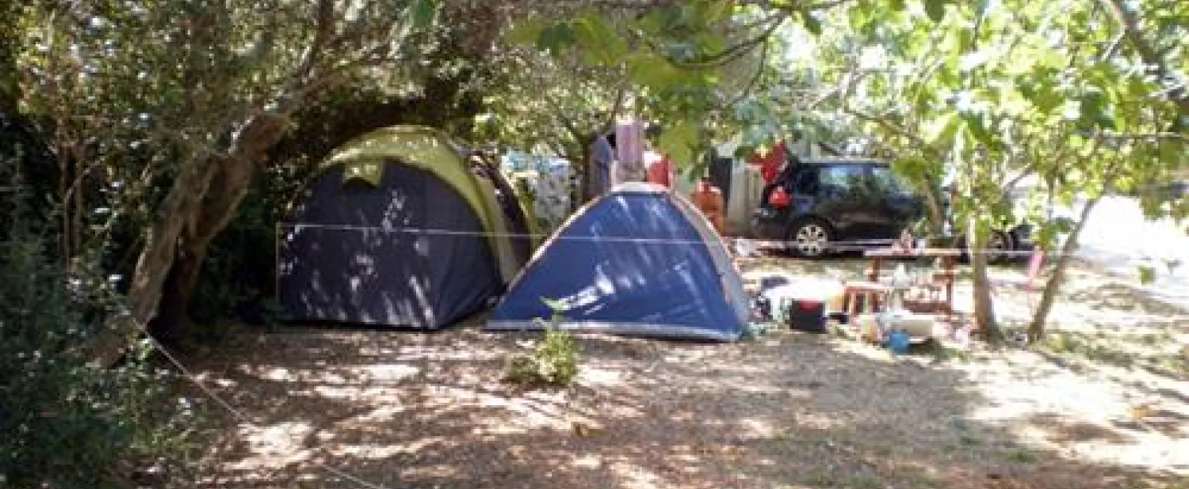 Camping Maslinik