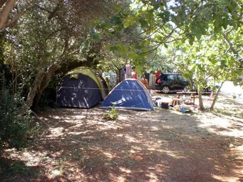 camping-maslinik-punat-r42m5