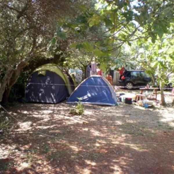camping-maslinik-punat-r42m5