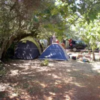camping-maslinik-punat-r42m5