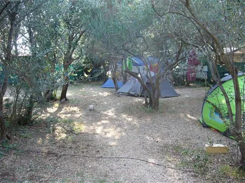 camping-maslinik-punat-w9ro5