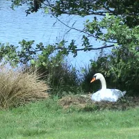 Camping Stausee Oberwald