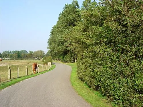 camping-kotestee-ouddorp-zh-j1296