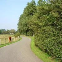 camping-kotestee-ouddorp-zh-j1296