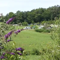 camping-la-bonne-source-saint-martin-sepert-zzccx