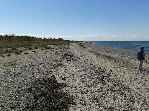 beltcampingfehmarn-fehmarn-8dyo9