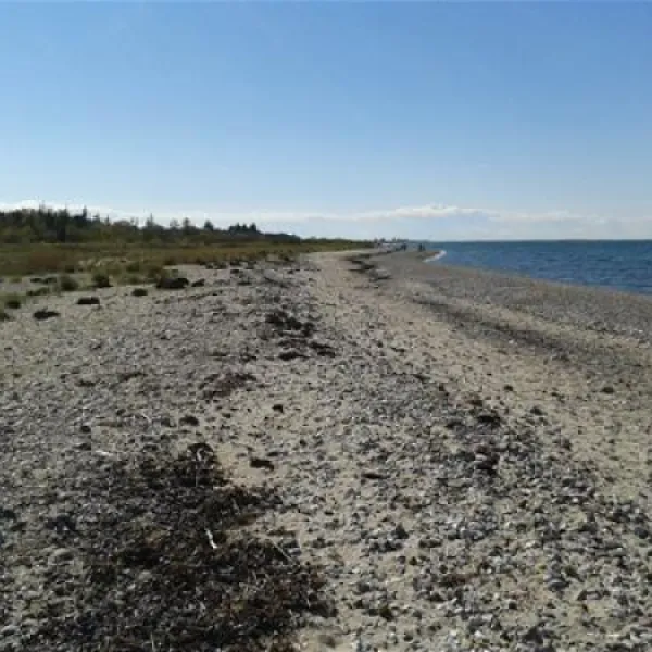 beltcampingfehmarn-fehmarn-8dyo9