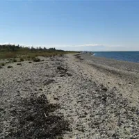 beltcampingfehmarn-fehmarn-8dyo9