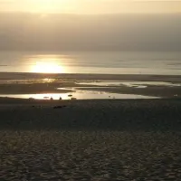 camping-de-la-dune-pyla-sur-mer-vjrjd