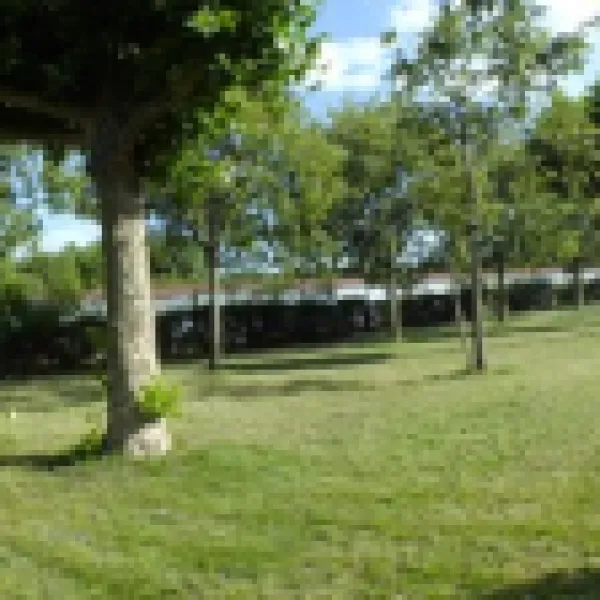 campeggio-ideal-pieve-manerba-del-garda-al9ig