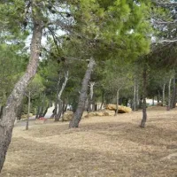 camping-la-nautique-narbonne-gb0dd