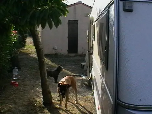 camping-la-nautique-narbonne-sx8sl