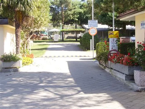 campeggio-internazionale-del-sole-lago-di-viverone-akywx