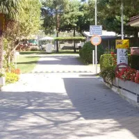 campeggio-internazionale-del-sole-lago-di-viverone-akywx