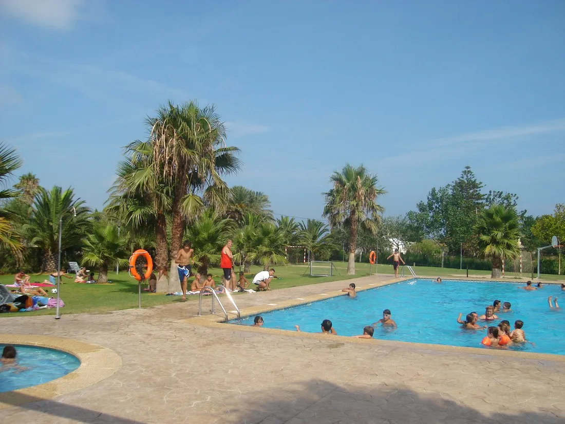 camping-eucaliptus-eucaliptusamposta-8owjq