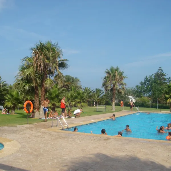 camping-eucaliptus-eucaliptusamposta-8owjq