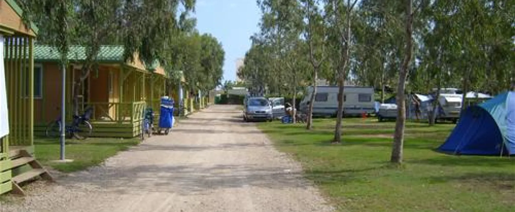 Camping Eucaliptus