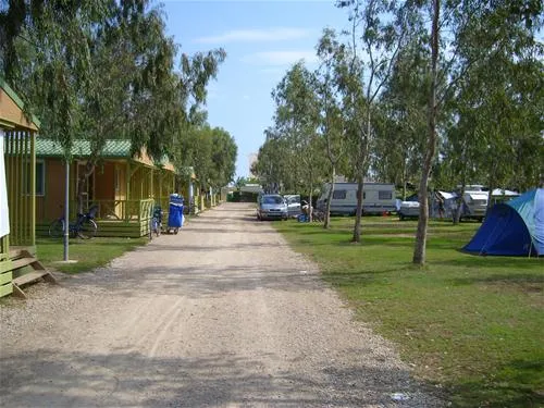 camping-eucaliptus-eucaliptusamposta-exqhg