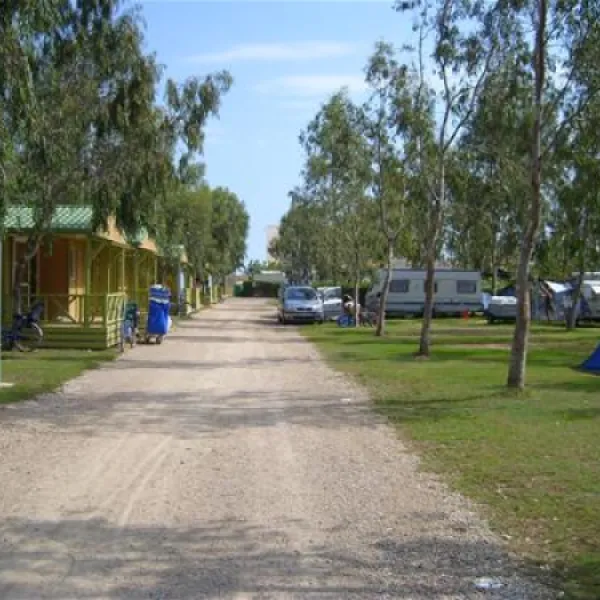 camping-eucaliptus-eucaliptusamposta-exqhg