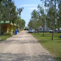 camping-eucaliptus-eucaliptusamposta-exqhg