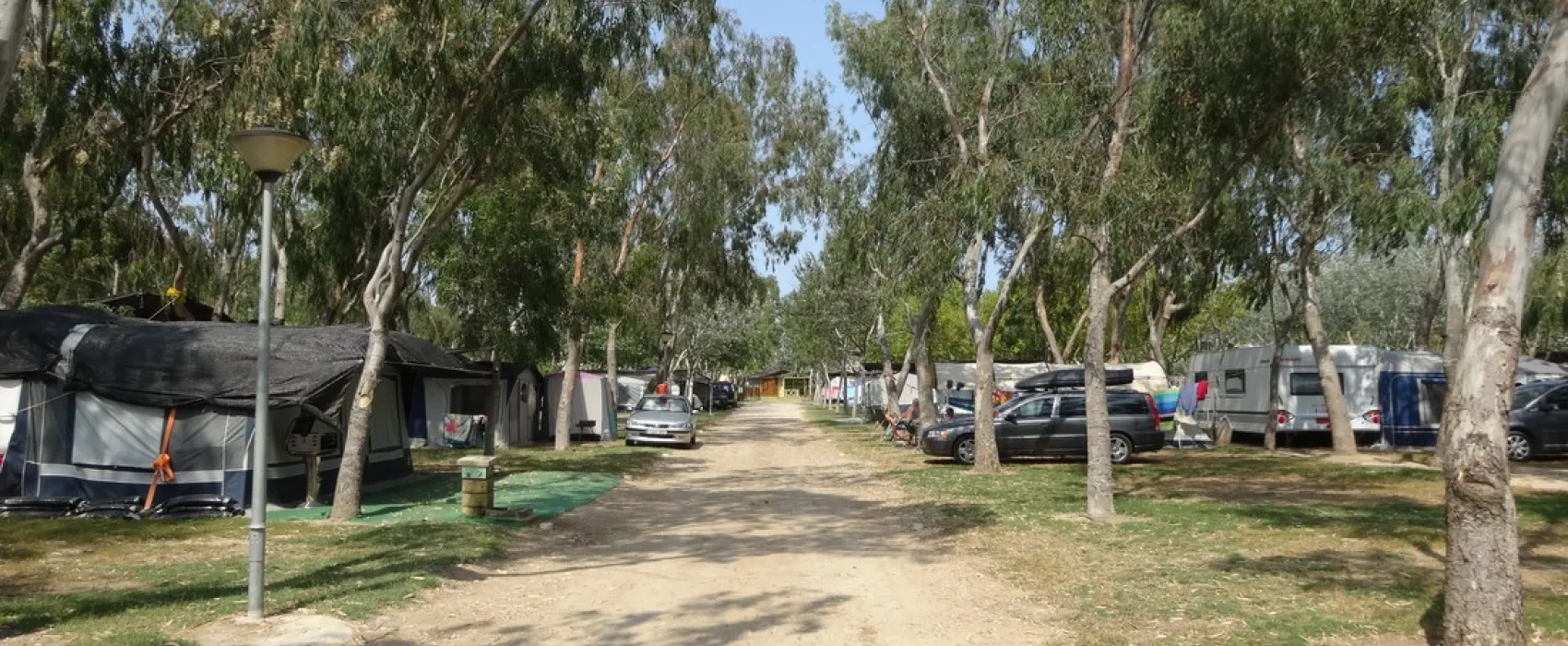 Camping Eucaliptus