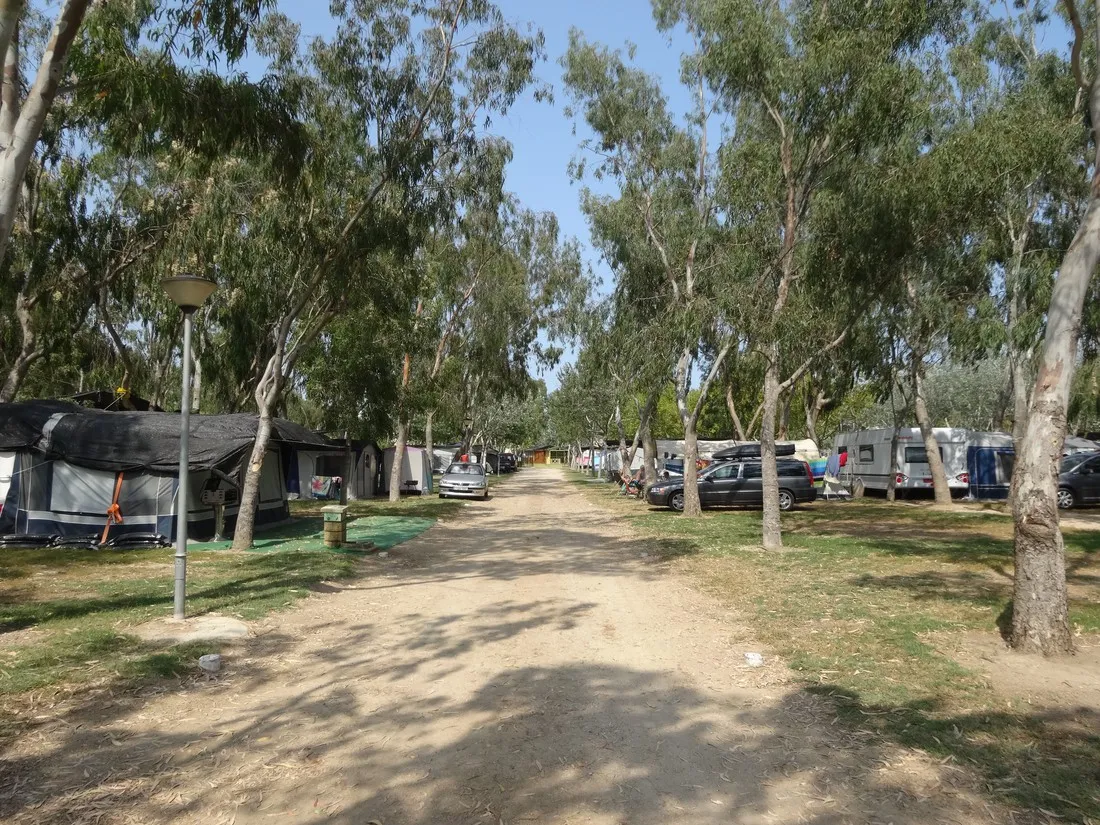 camping-eucaliptus-eucaliptusamposta-ixhol