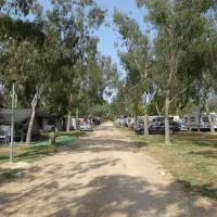 camping-eucaliptus-eucaliptusamposta-ixhol