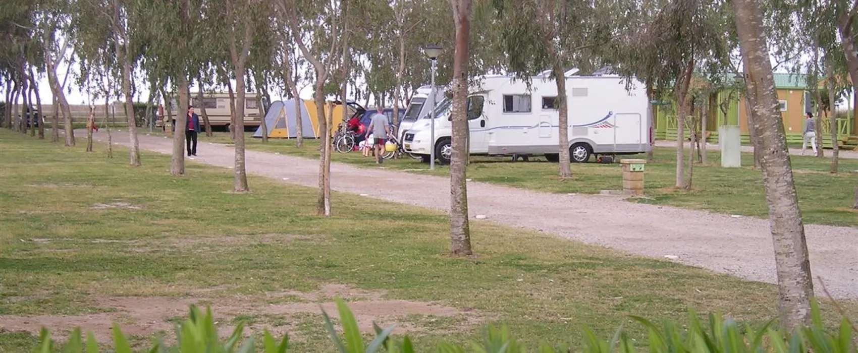 Camping Eucaliptus
