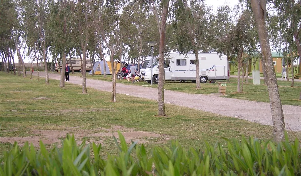 camping-eucaliptus-eucaliptusamposta-kzpzd