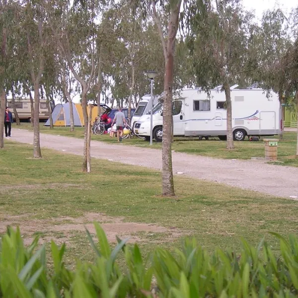 camping-eucaliptus-eucaliptusamposta-kzpzd