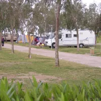 Camping Eucaliptus