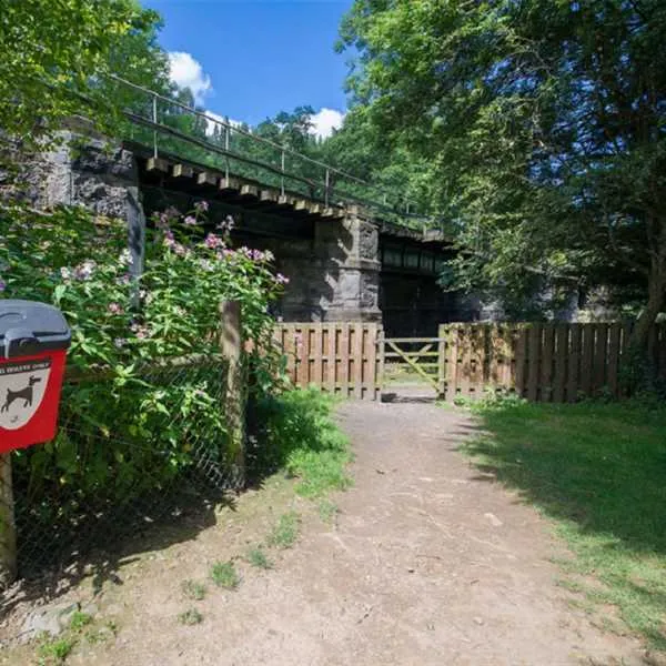 riverside-caravan-camping-park-betwsycoed-z21xt