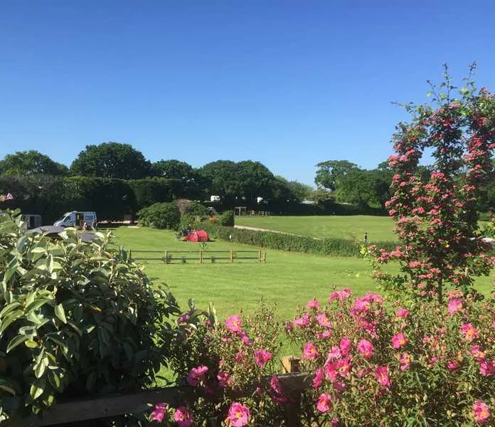leadstone-camping-dawlish-ubmuy